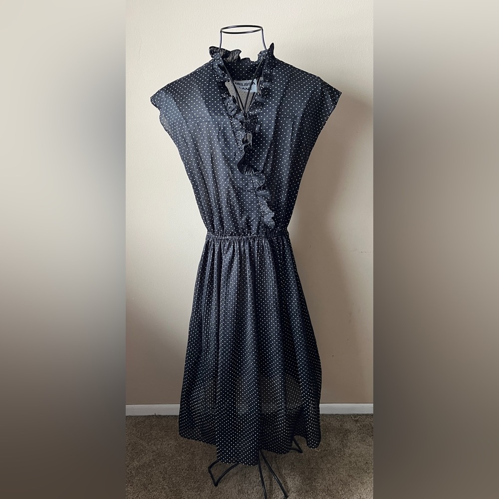 True vintage! Melissa Lane polka dot sheer dress